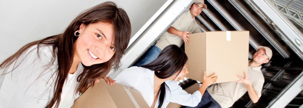 Professional Removalists Arundel